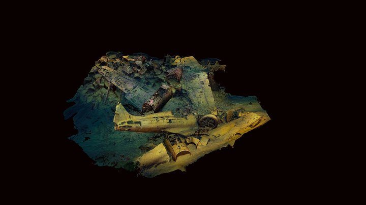 Fujikawa - Diving in Depth ©K Hatton 3D Model