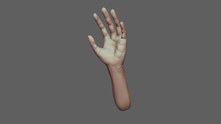 Hand 3D Model