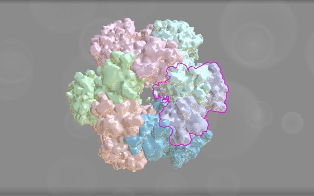EMD 3078 - 3D model by Interactive 3D Data (@proteinsimulation ...