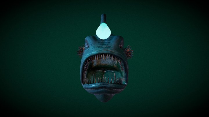 Fish 3D Model