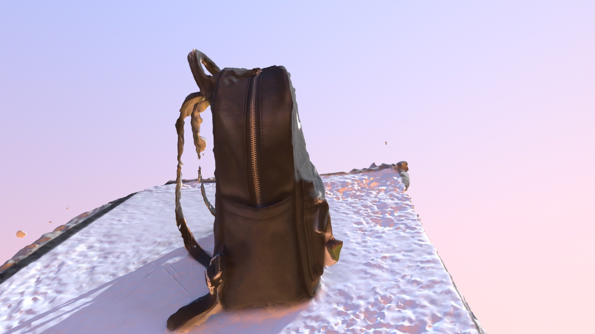 Bag