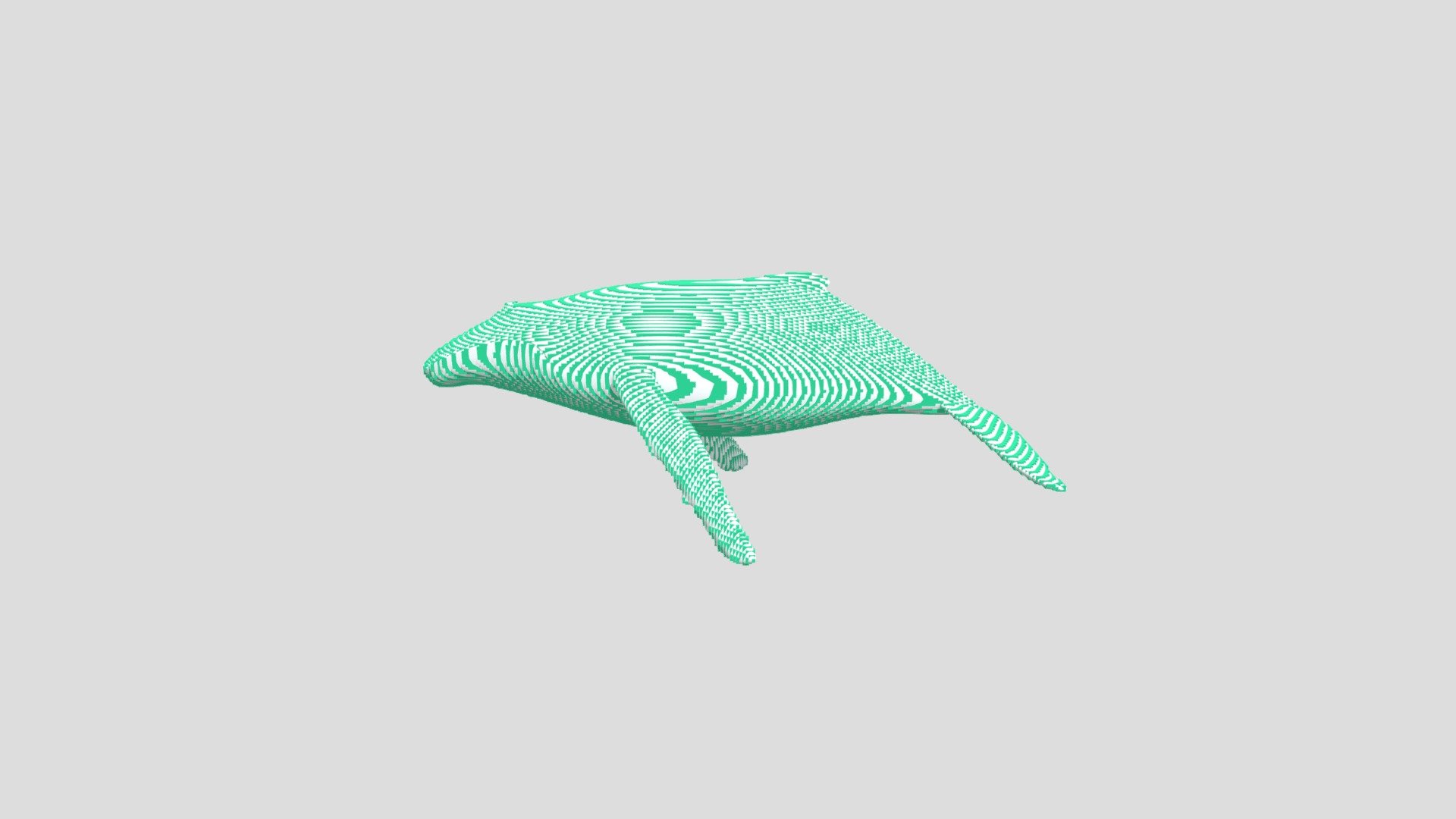 DTS4.2_CUINDA_Y1_Guitar_H03_whale