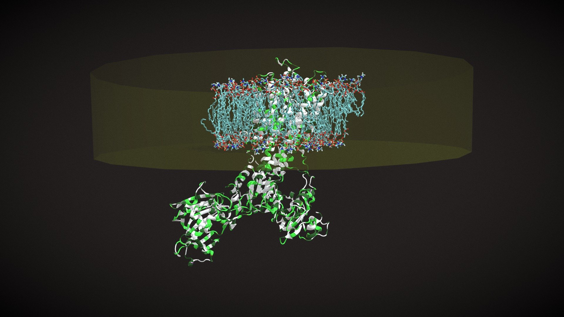 membrane-protein-1su4
