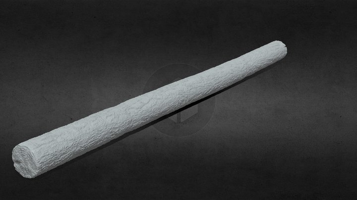Log 3D Model