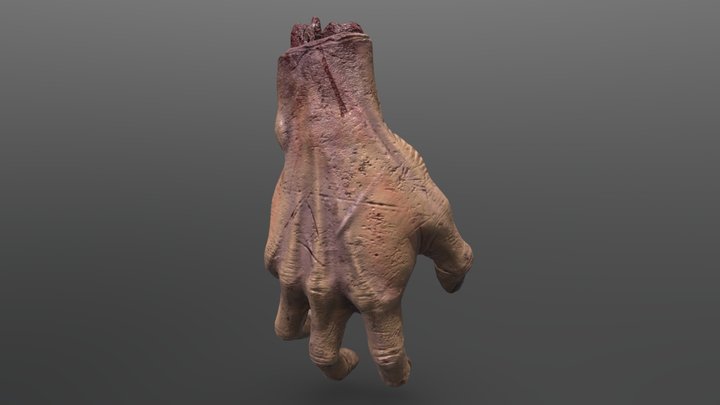 Severed Hand Model 3D Model