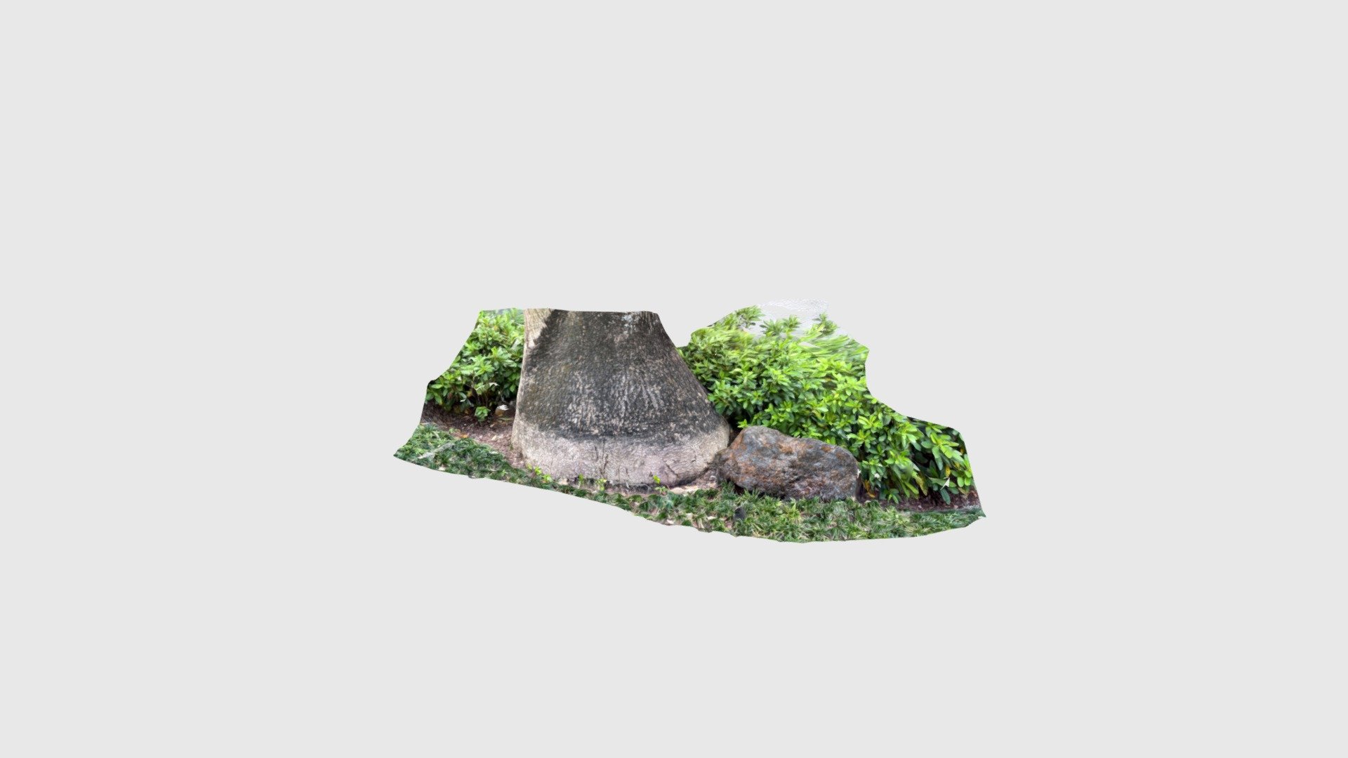 Winter park Fl - date palm and rock
