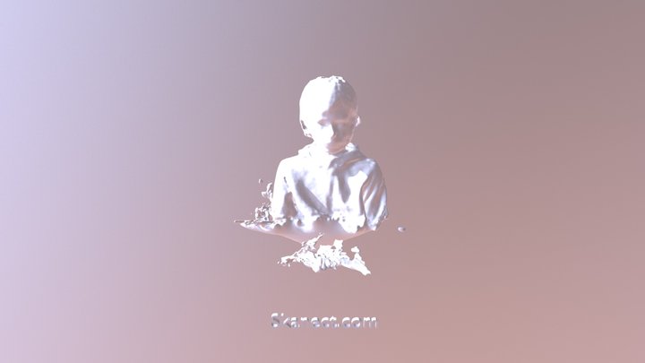 New Skanect Model 3D Model