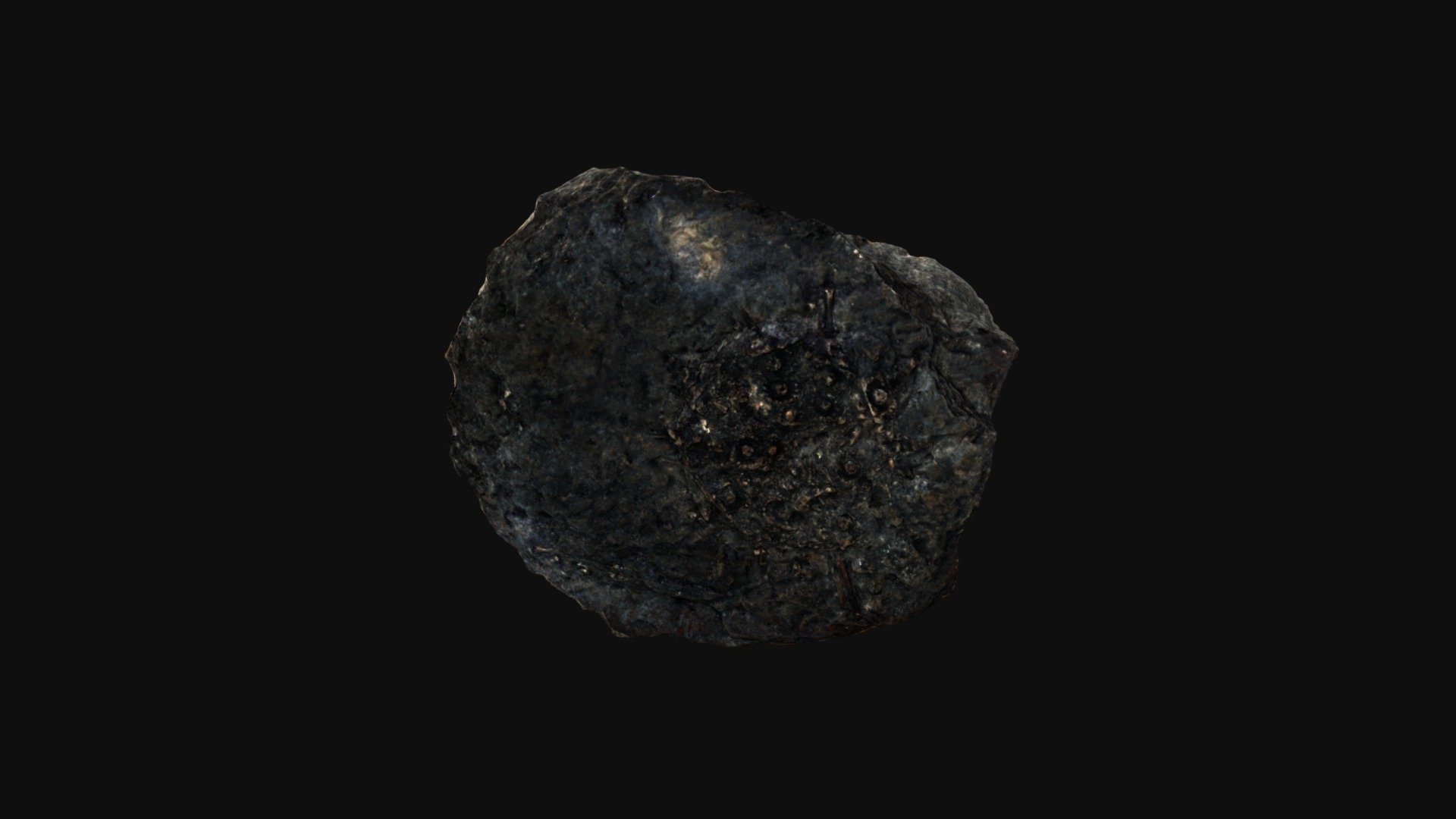 Echinus antiquus