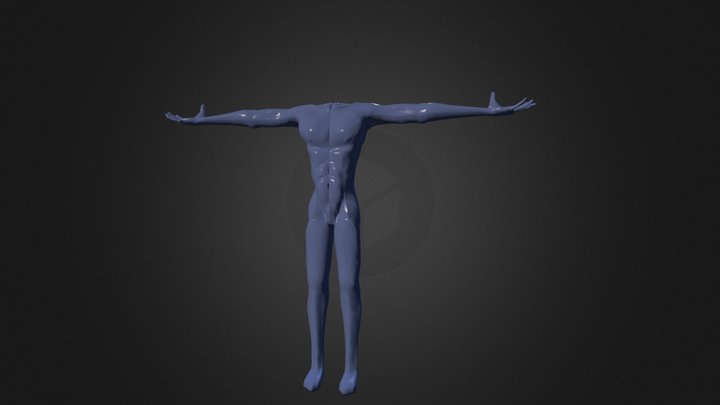 Man Body 3D Model