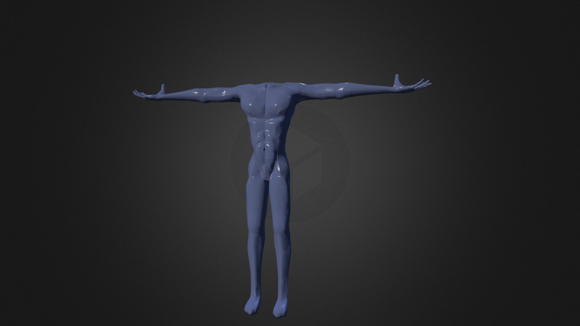 Man Body - 3D model by bobycool [00c816b] - Sketchfab