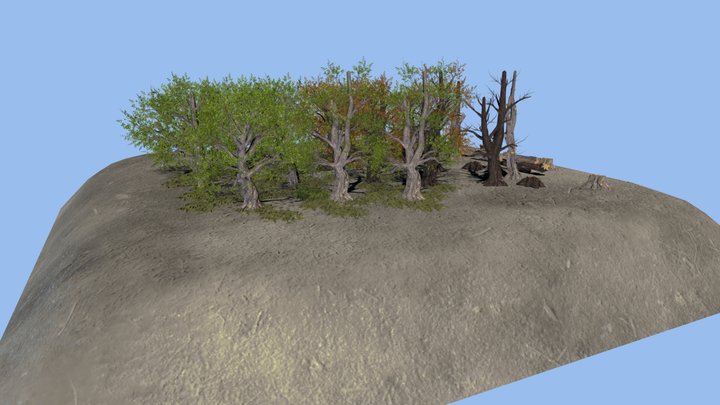 Simple Woods Presentation 3D Model