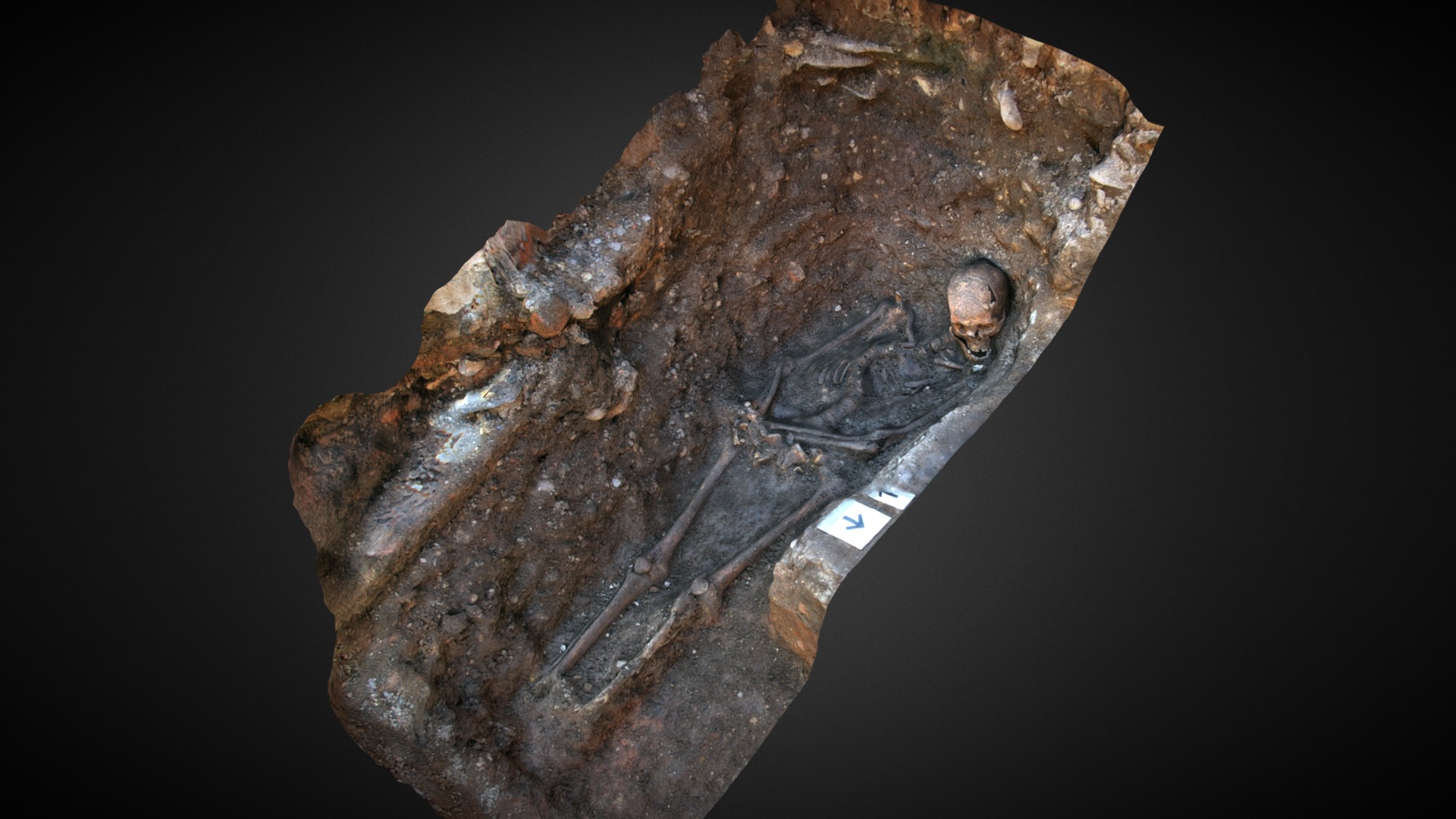 King Richard III's grave - 3D model by Archaeological Services (ULAS) (@leicester-archaeology)