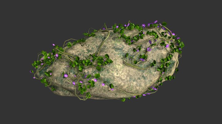 Big-rock 3D models - Sketchfab