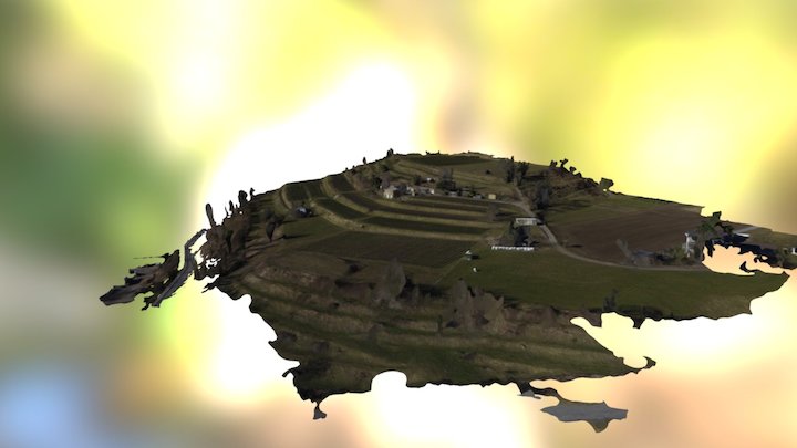 Castel San Pietro - Field 3D Model