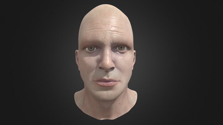 Realistic human bust 👨🏻‍🦲 3D Model