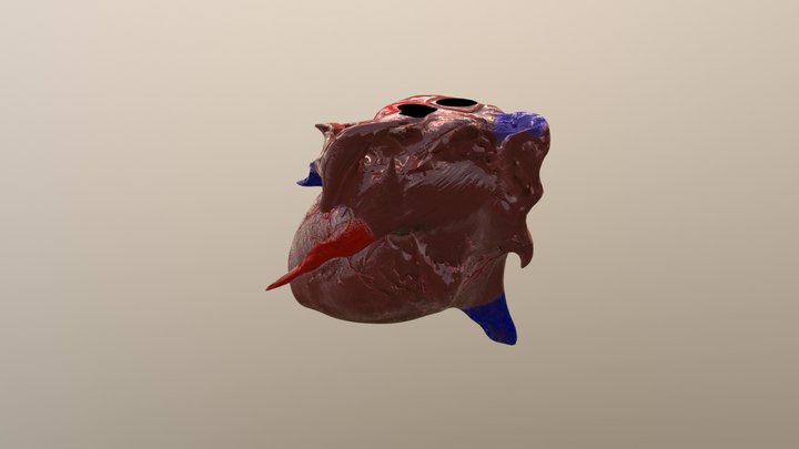 Second Heart 3D Model