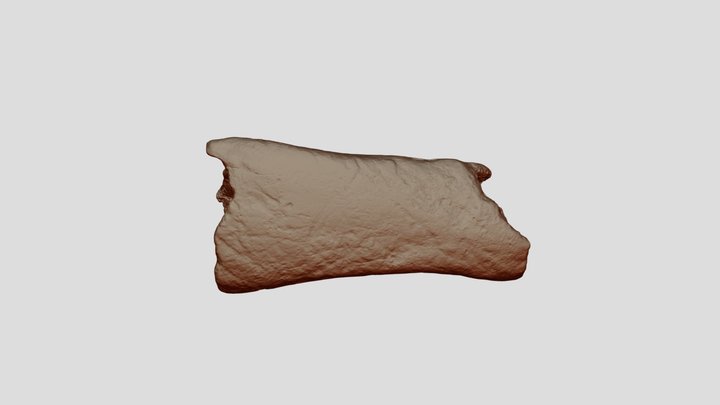 31 15 16 Foltozott Decimate Binary 3D Model