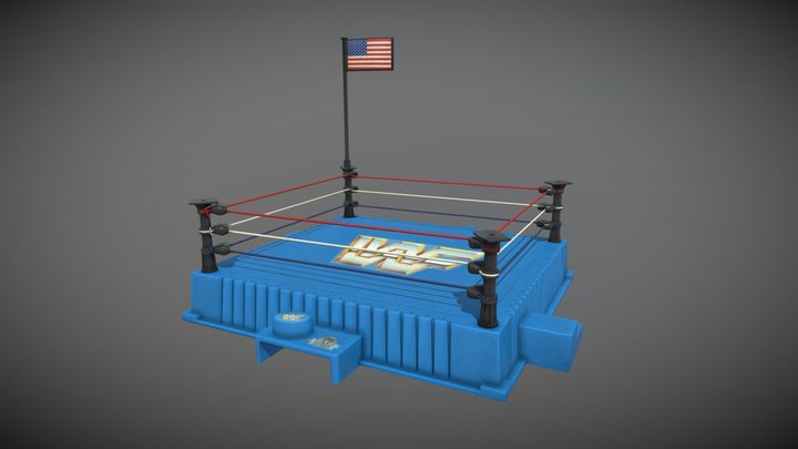 WWF Hasbro Ring 3D Model