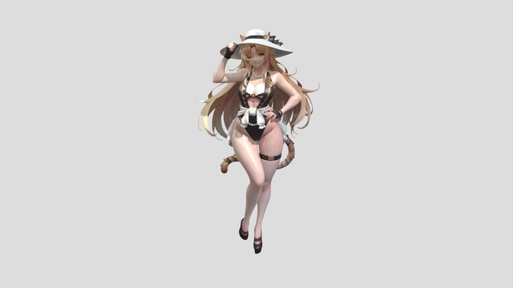 swire 3D Model