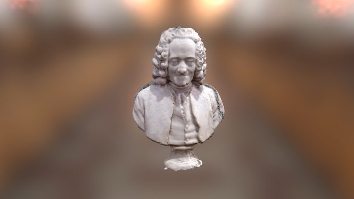 Voltaire 2017 3D Model