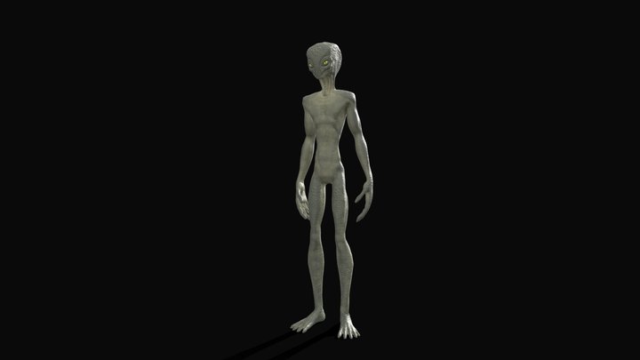 Reptilian 3D Model