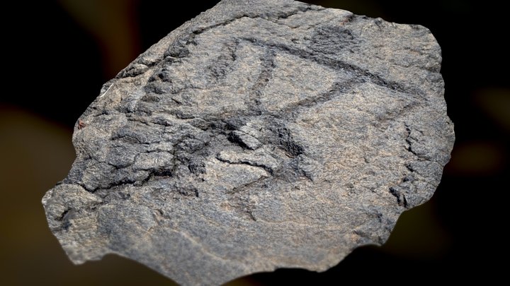 Petroglyph Guy 3D Model