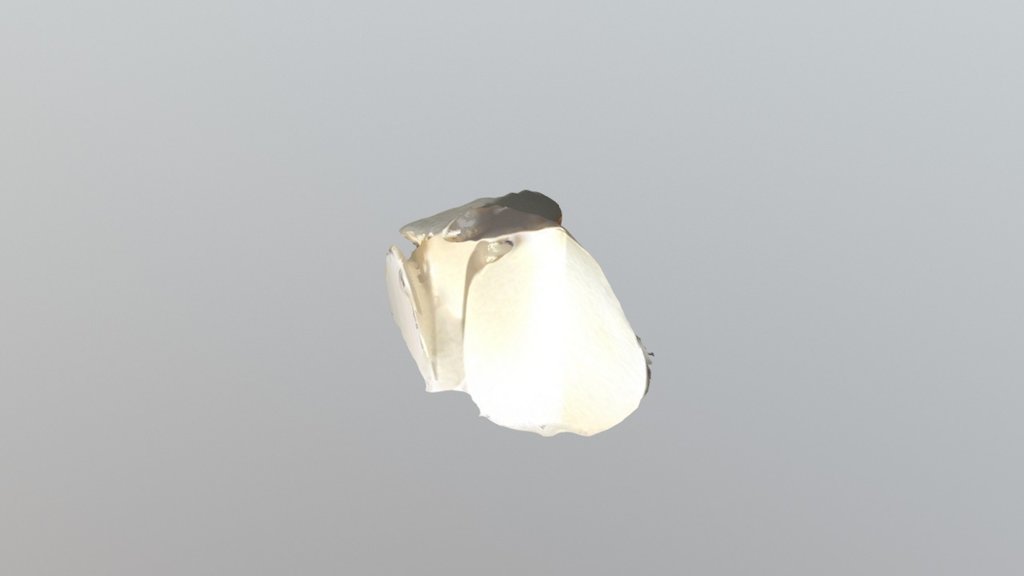 Group 7 Model 8