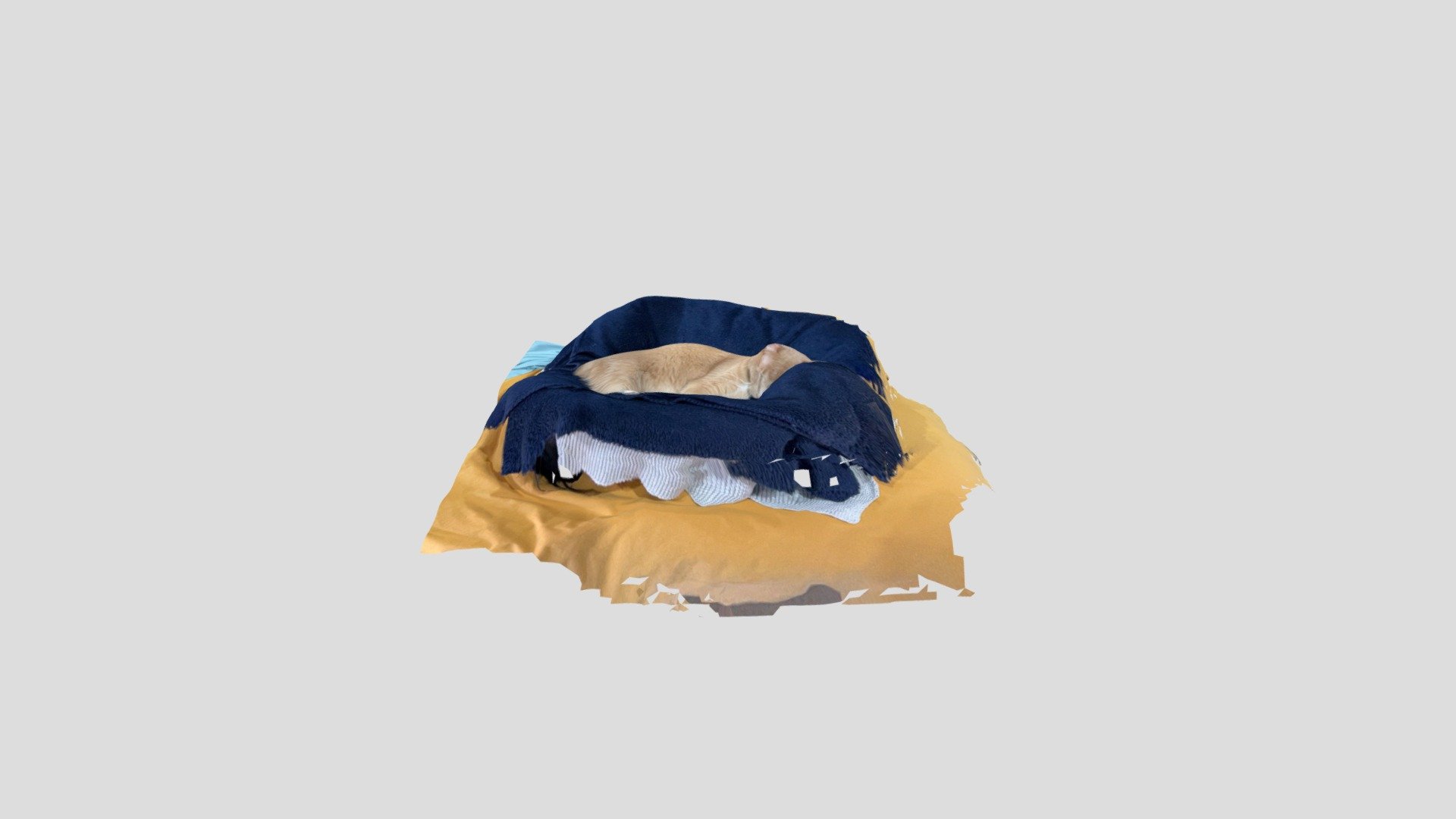 Doody Sleeping