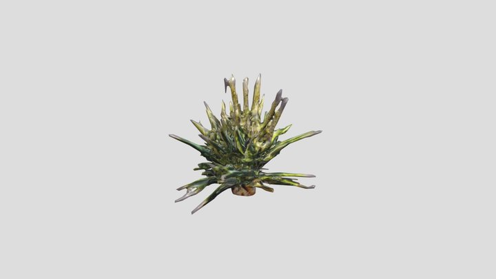 Yucca__ Joshua_tree__obj 3D Model