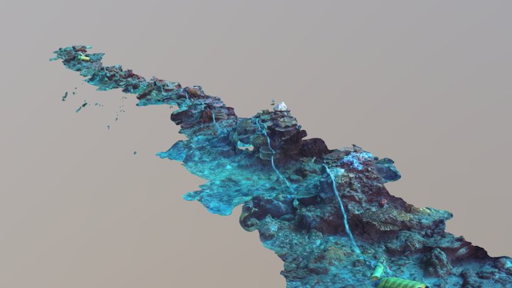 Dive 17_T1 3D Model