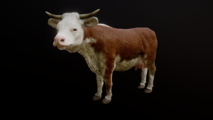 COW ANIMATIONS 3D Model