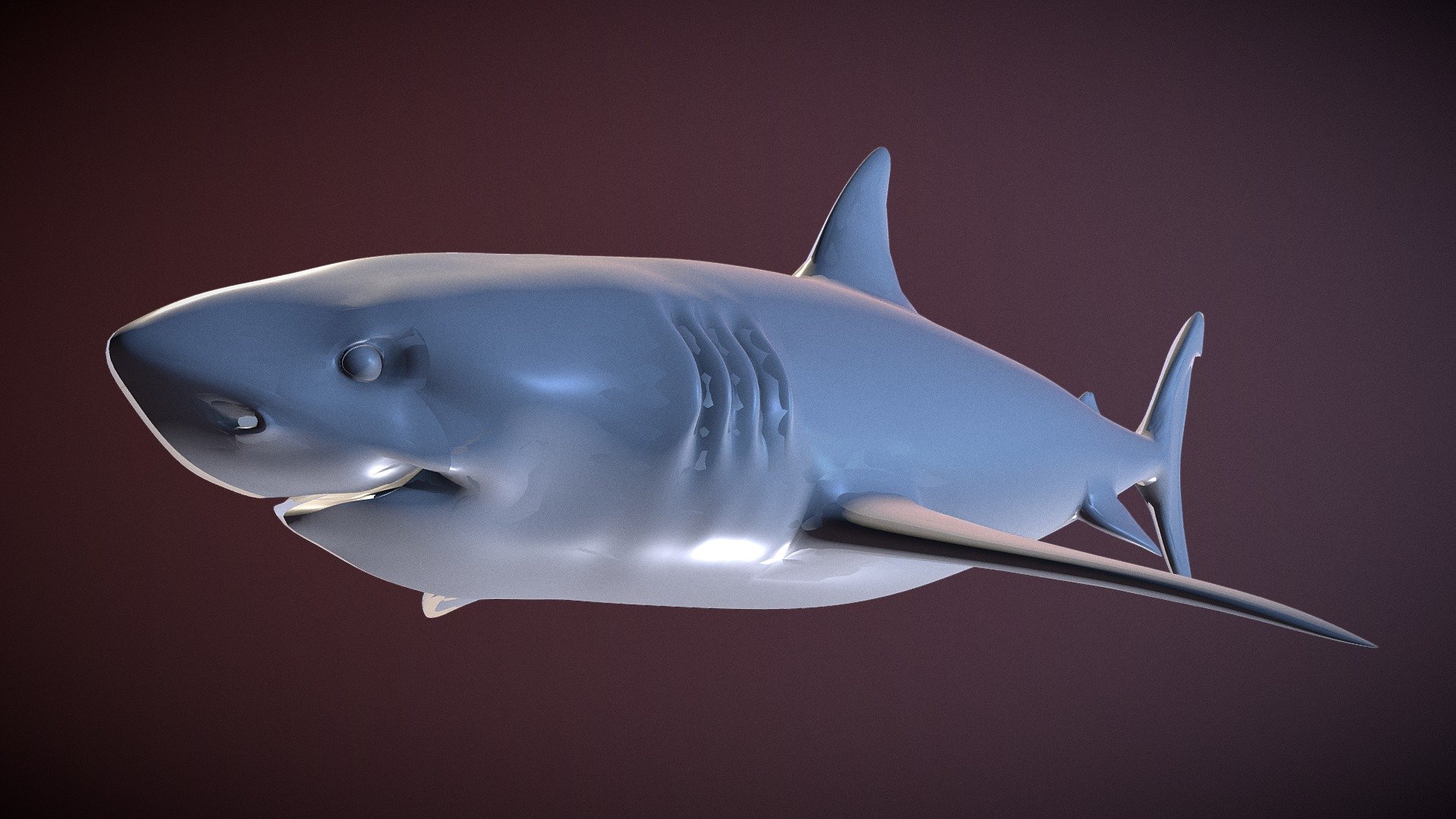 White Shark