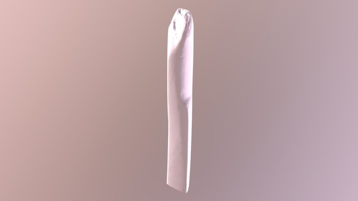 My model 3D Model