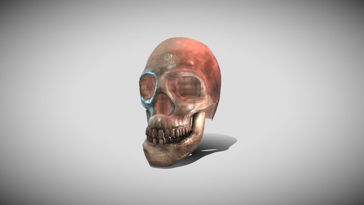 Skull With Jaw
