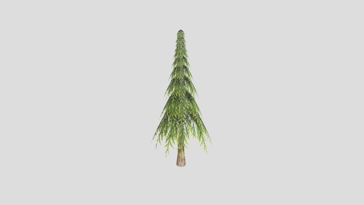 Tree2 3D Model