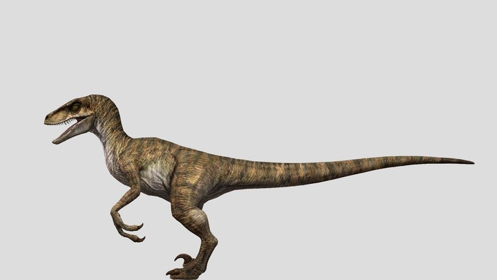 DracoWarrior's Female Velociraptor