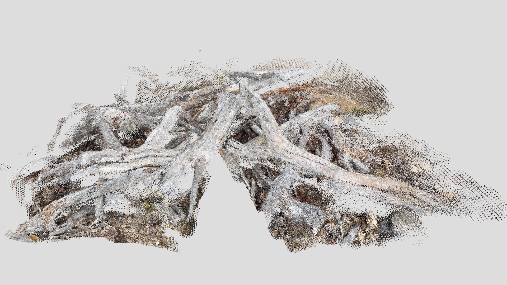Dead wood (Sitescape.ai + High Res.)