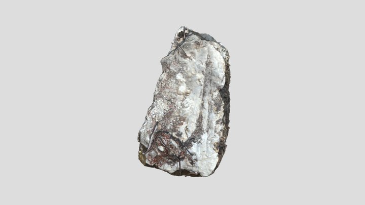 Rock3 3D Model