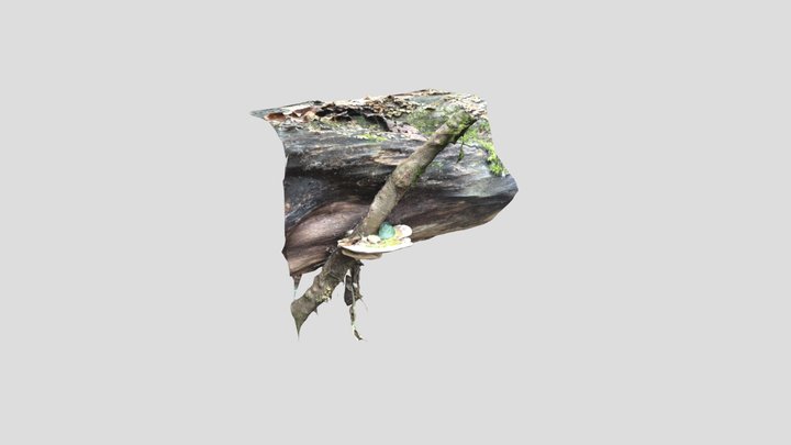 Stick-through-a-mushroom 3D Model