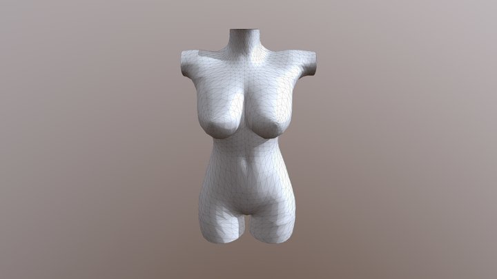 Female Torso 3D Model