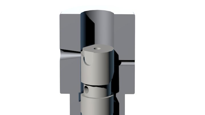 Д49_Устро�йство плунжерной пары ТНВД 3D Model