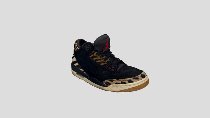 Nike Jordan Basketball Shoe 3D Model