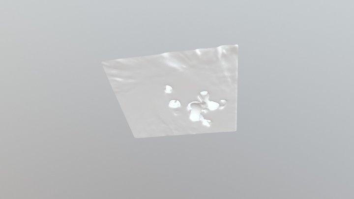 Fiona_Buoys 3D Model