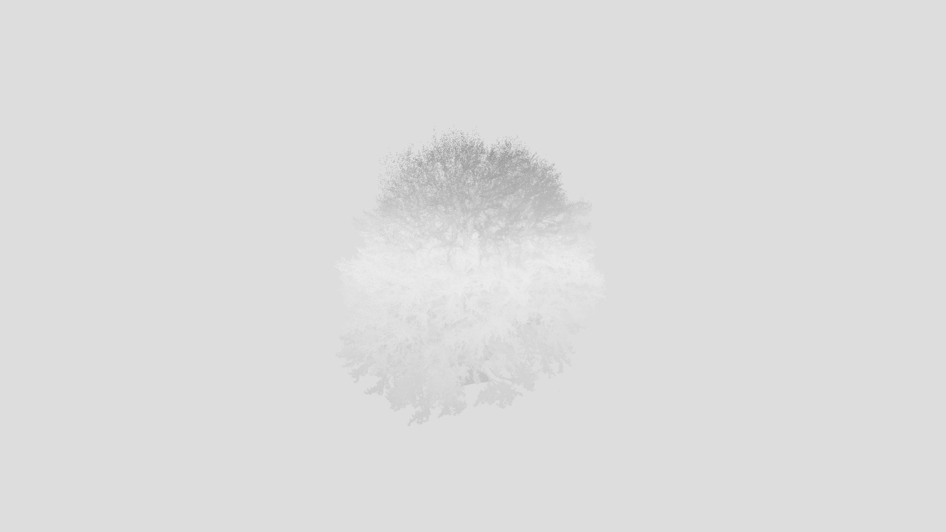 Tree_0192 - 3D model by forestdesign [010a462] - Sketchfab