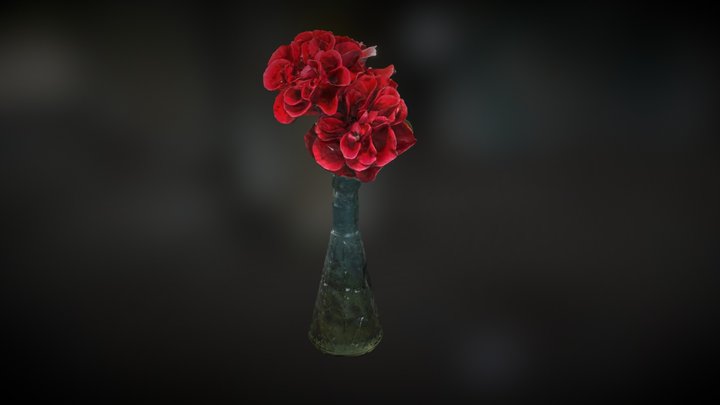 Rose is a rose is a rose, except when it is not 3D Model