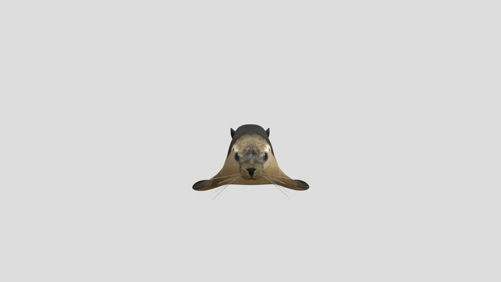 Seal