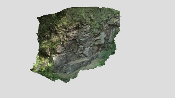 Kletterfelsen zwischen Calw und Pforzheim 3D Model