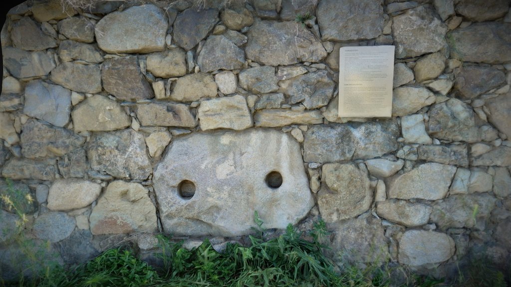 Basamento di un torchio (Torculum), Teis