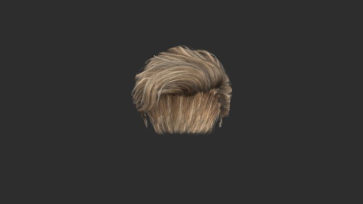 Male Hair Card 3D Model