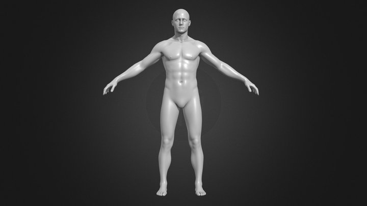 base_male_body 3D Model